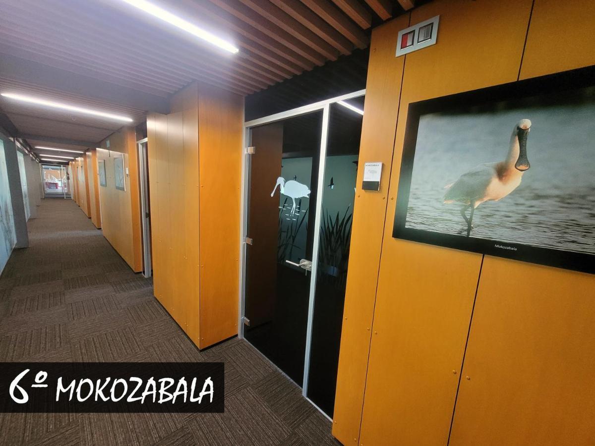 Hotel Urdaibai Bird Center Gautegiz Arteaga Habitación foto