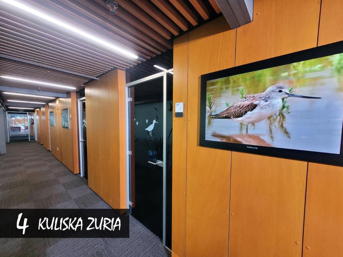 Hotel Urdaibai Bird Center Gautegiz Arteaga Habitación foto